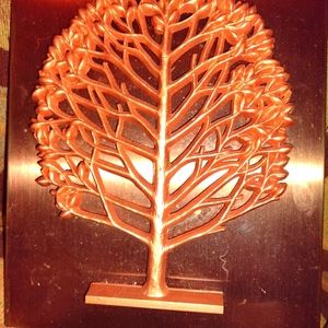 These awesome rare copper pictures